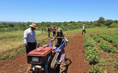 finca Natalio (2)