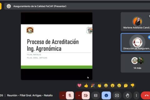 Acreditacion Agronomía