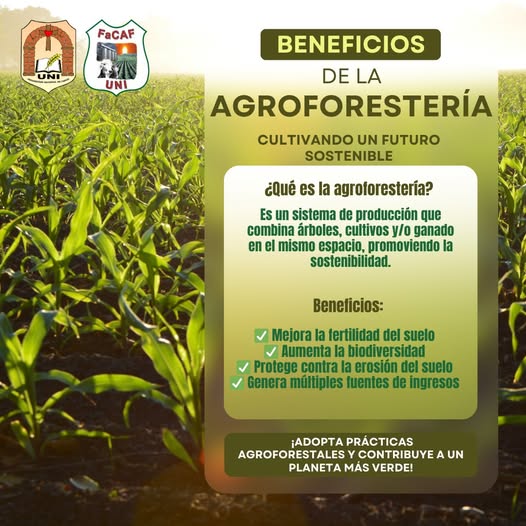 agroforestería