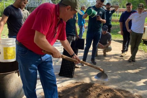 esterilización de suelo