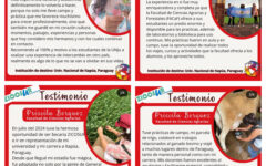 internacionalización priscila