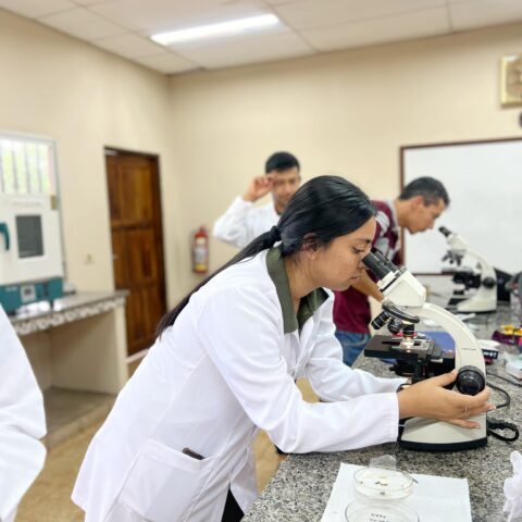 laboratorio microbiología
