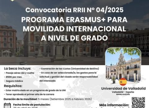 Internacionalización grado