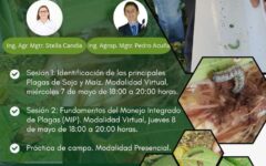 curso plagas en soja y maiz