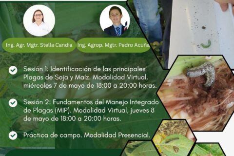 curso plagas en soja y maiz