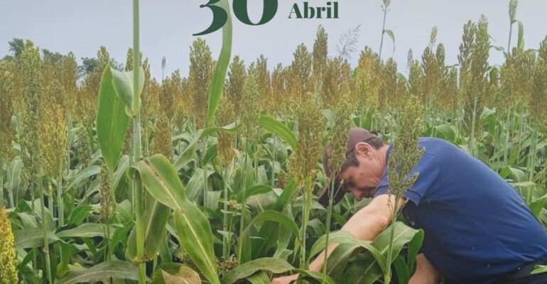 día del docente