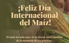 día del maíz