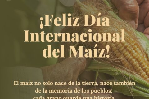 día del maíz