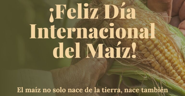 día del maíz