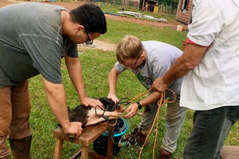 extensión en cambyretá