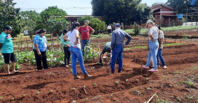 frutilla en natalio