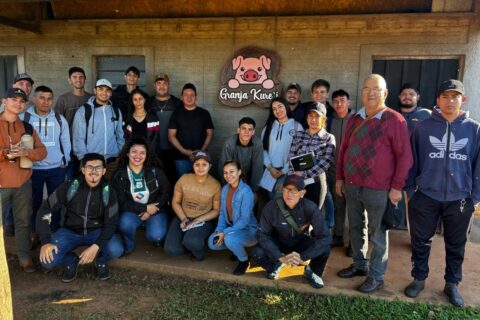gira de estudio porcino