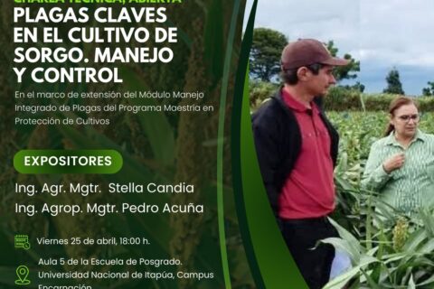 manejo de plagas de sorgo
