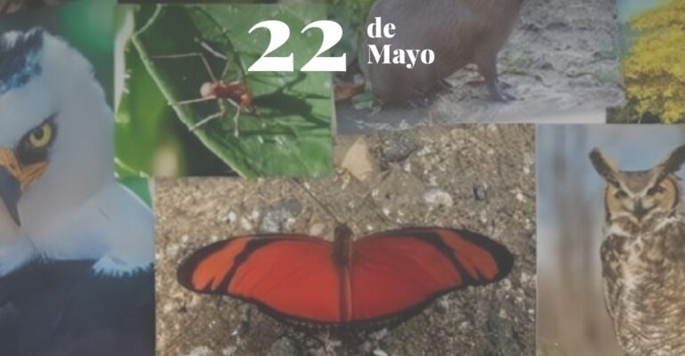 Biodiversidad