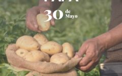 Día de la papa