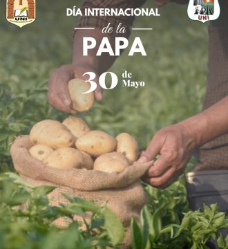 Día de la papa