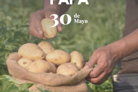 Día de la papa