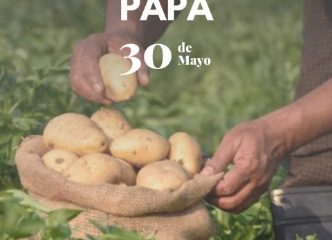 Día de la papa