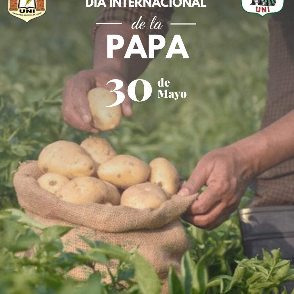 Día de la papa