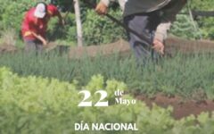 agricultor