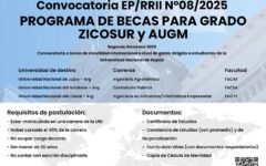 becas zicosur