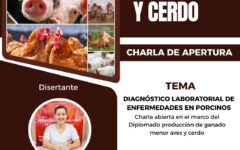 charla dip animal nat
