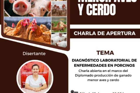 charla dip animal nat