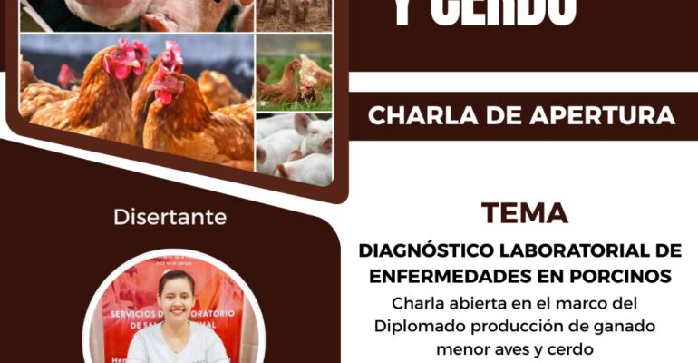 charla dip animal nat