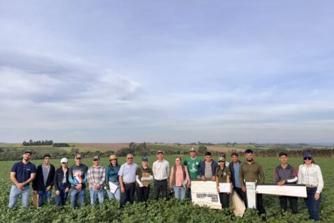 cierre curso de soja y maíz