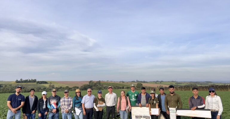 cierre curso de soja y maíz
