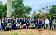 cierre curso plagas en soja y maiz