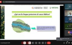 curso forestal - clase 5