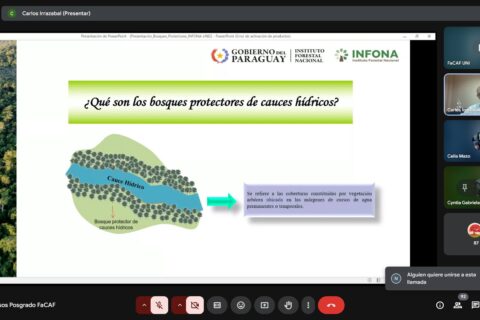 curso forestal - clase 5