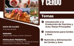 diplomado animal natalio
