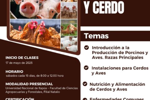diplomado animal natalio