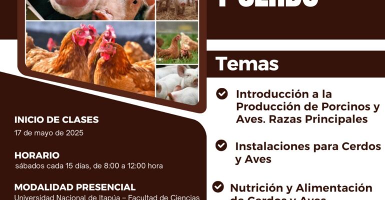 diplomado animal natalio