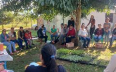 entrega de plantines spp