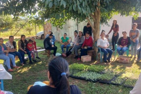 entrega de plantines spp