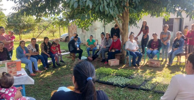 entrega de plantines spp
