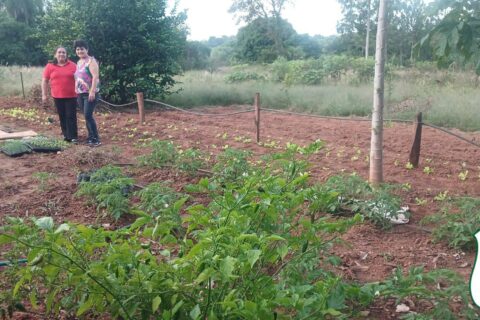 entrega de plantines spp1 (1)