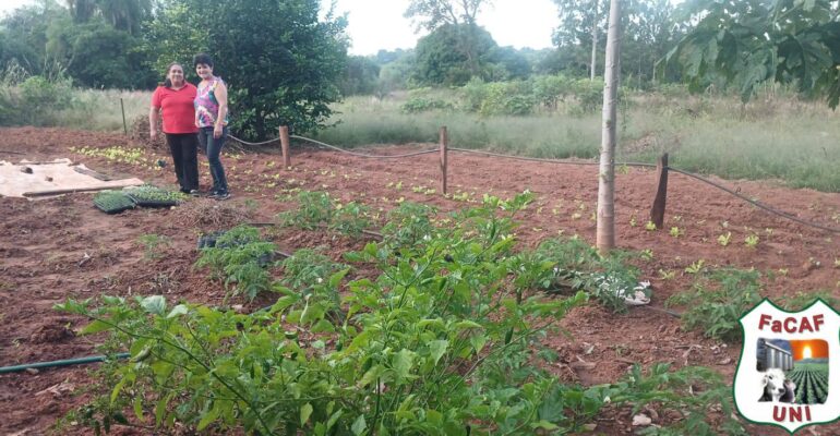 entrega de plantines spp1 (1)