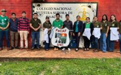 extensión otaño