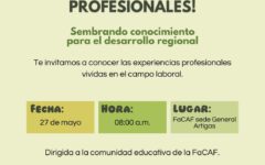pasantías