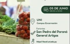 Agroferia spp