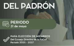 Estamento
