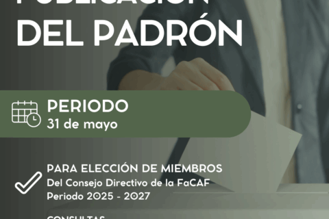 Estamento
