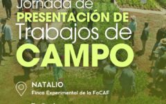 presentación de trabajos de campo