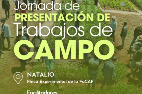 presentación de trabajos de campo