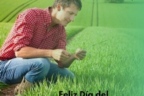 Dia del inge pyo