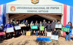 cajas entomológicos